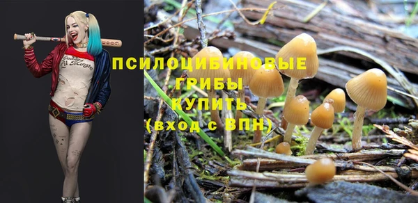 герыч Ладушкин