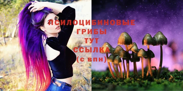 а пвп мука Лабытнанги